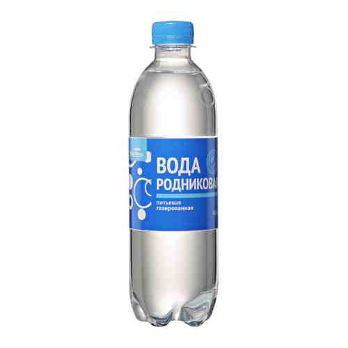 Вода питьевая ВкусВилл родниковая природная газированная 0.5 л арт. 3393391