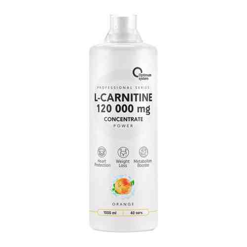 Жиросжигатель Optimum System L-Carnitine Concentrate 120 000 Power orange 1 л арт. 3457403