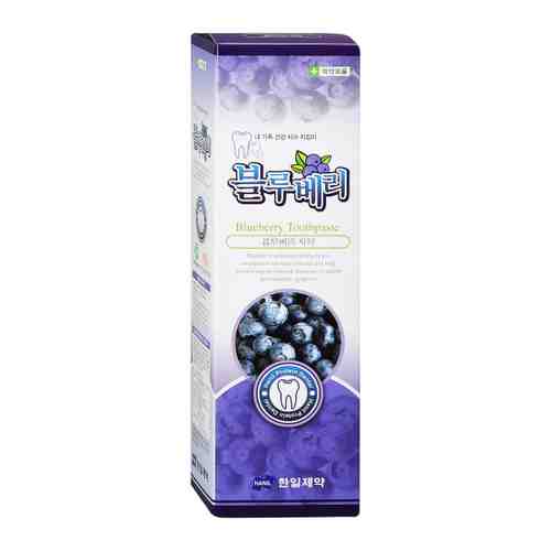 Зубная паста Hanil Blueberry с экстрактом черники 180 мл арт. 3448735