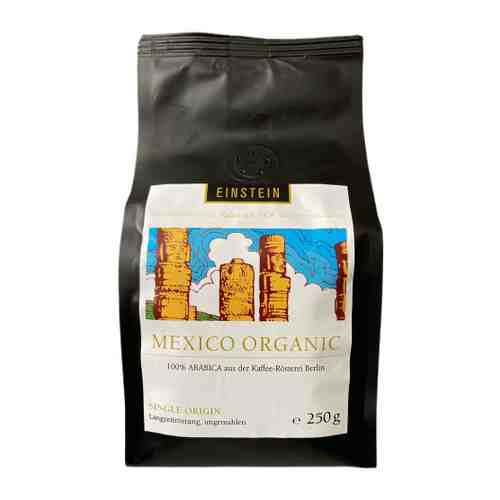 Кофе Einstein Мексика Organic в зернах 250 г арт. 3447073
