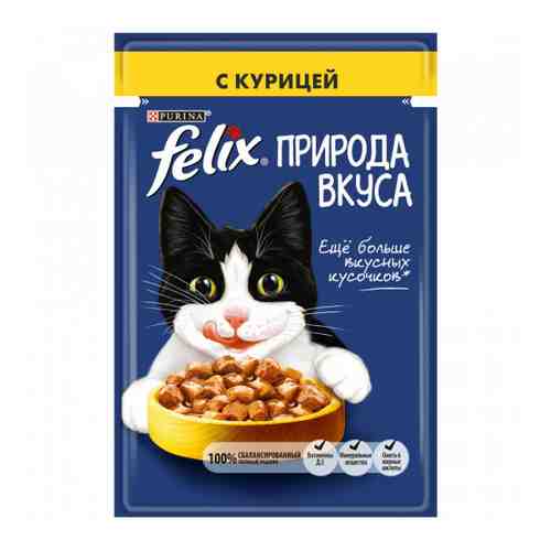 Корм влажный Felix Природа вкуса с курицей в соусе для взрослых кошек 85 г арт. 3369150