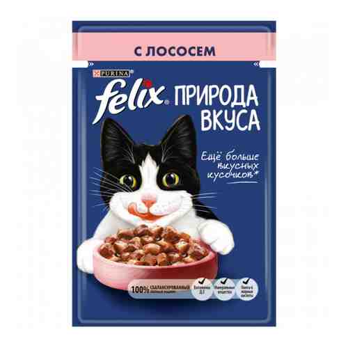 Корм влажный Felix Природа вкуса с лососем в соусе для взрослых кошек 85 г арт. 3369148