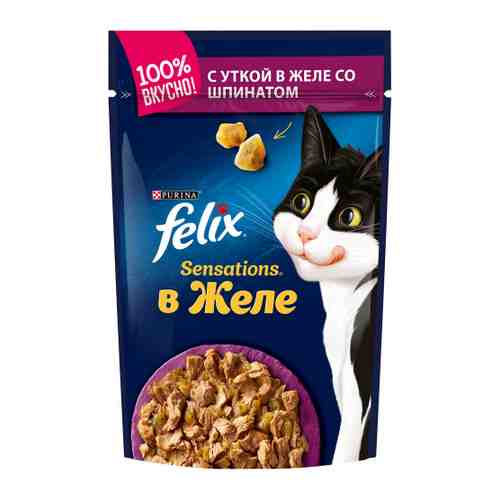 Корм влажный Felix Sensations для взрослых кошек с уткой в желе со шпинатом 85 г арт. 3225087