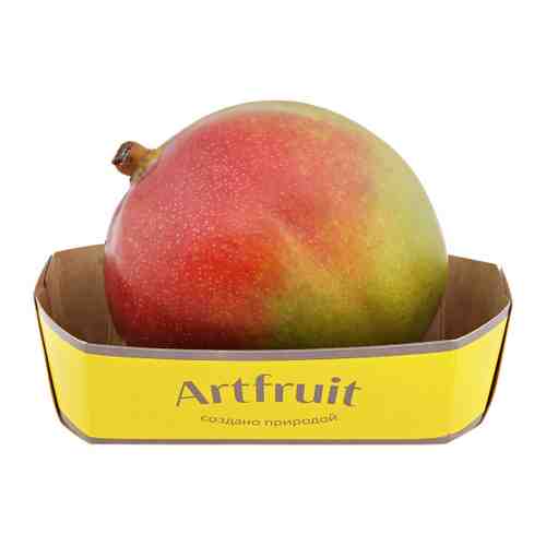 Манго Artfruit спелое 1 штука арт. 3363036