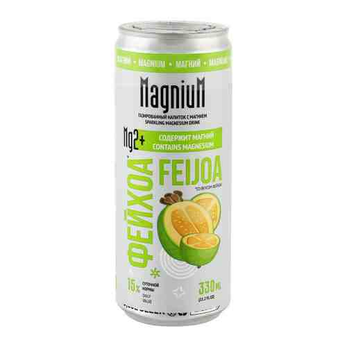 Напиток MagniuM с магнием со вкусом Фейхоа газированный 0.33 л арт. 3496213