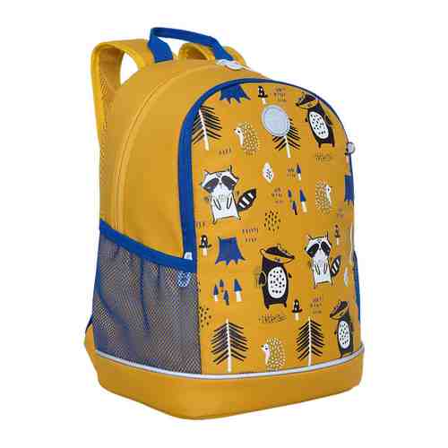 Рюкзак с жесткой спинкой Grizzly для девочки с 2 отделениями и карманом для ноутбука 13