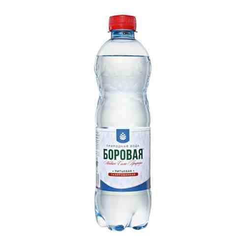 Вода питьевая Borovaya природная газированная 0.5 л арт. 3521201
