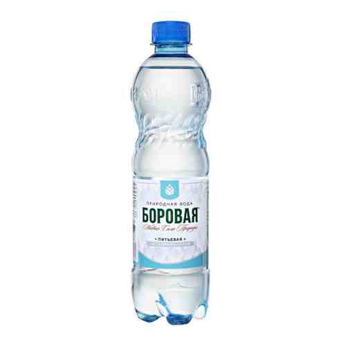 Вода питьевая Borovaya природная негазированная 0.5 л арт. 3521199
