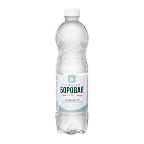 Вода питьевая минеральная лечебно-столовая Borovaya негазированная 0.5 л арт. 3521202