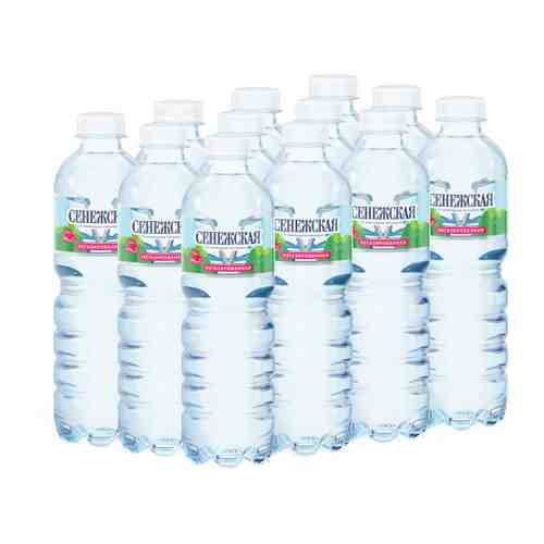 Вода питьевая Сенежская природная негазированная 12 штук по 0.5 л арт. 3338505