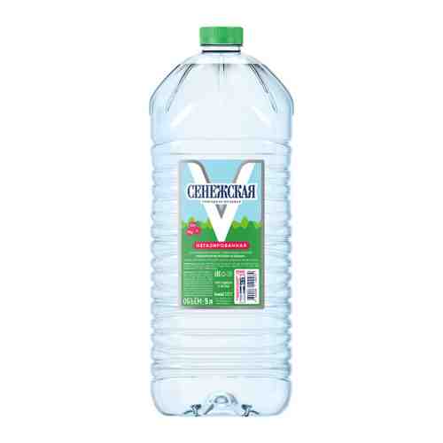 Вода питьевая Сенежская природная негазированная  5 л арт. 3373752