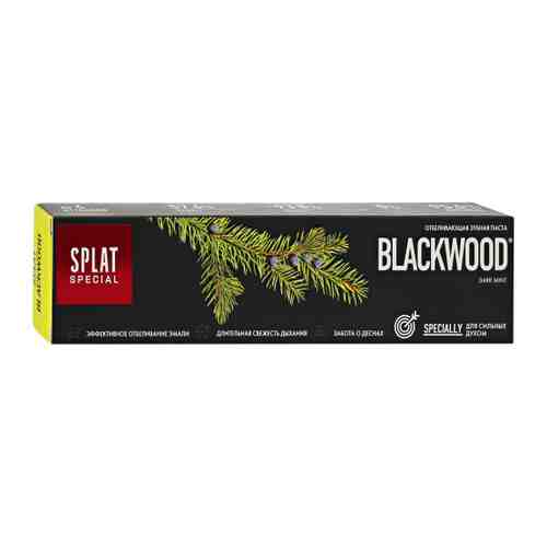 Зубная паста Splat Blackwood Dark Mint отбеливающая 75 мл арт. 3172355