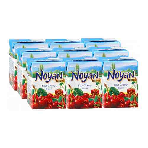 Нектар Noyan Premium Вишня 9 штук по 0.2 л арт. 3236341