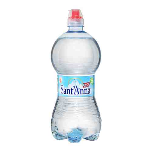 Вода питьевая минеральная столовая Sant'Anna источник Ребруант Sport природная негазированная 0.75 л арт. 3496739