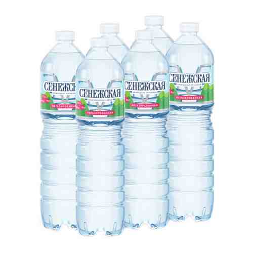 Вода питьевая Сенежская природная негазированная 6 штук по 1.5 л арт. 3242336