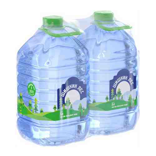 Вода питьевая Шишкин лес негазированная 2 штуки по 5 л арт. 3234446